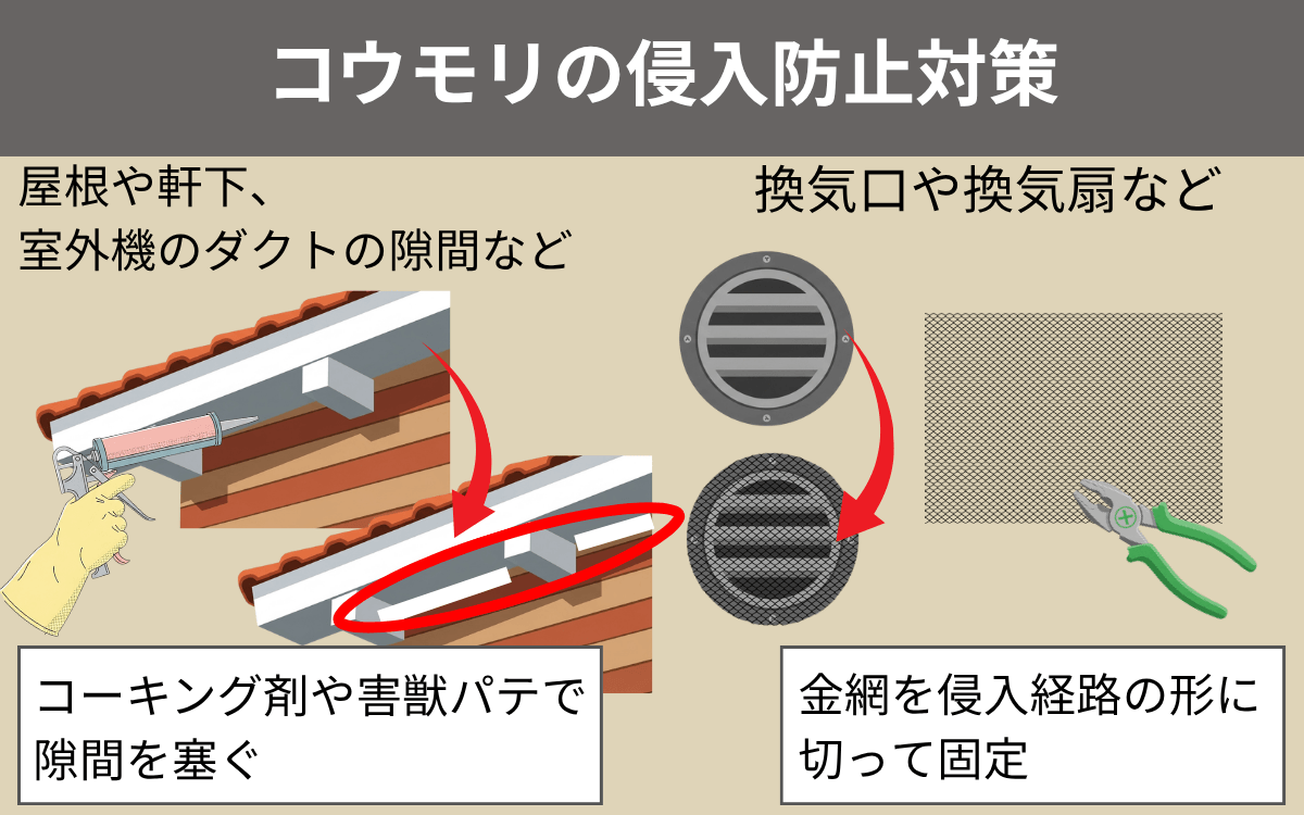 コウモリの侵入防止対策