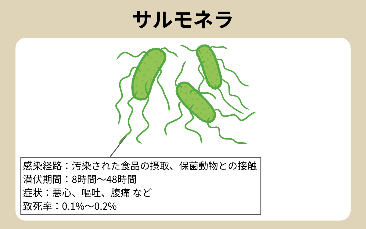 サルモネラ
