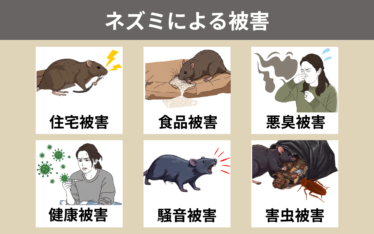 ネズミによる被害 歯