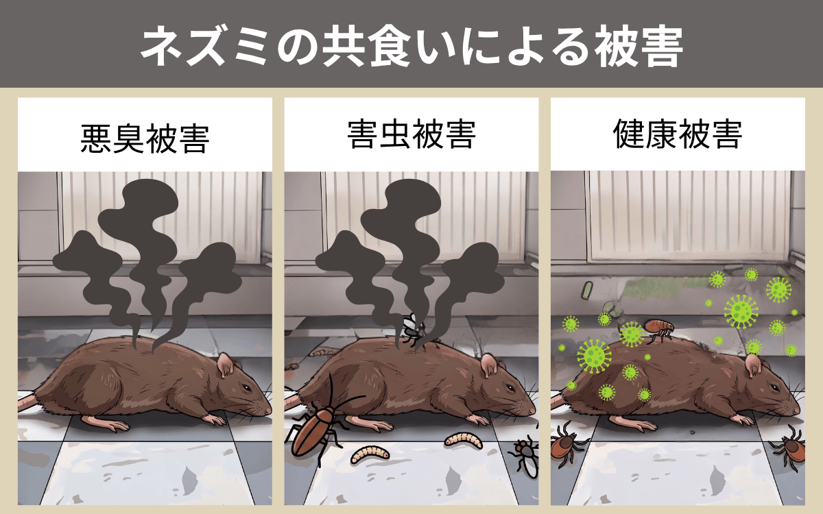 ネズミの共食いによる被害