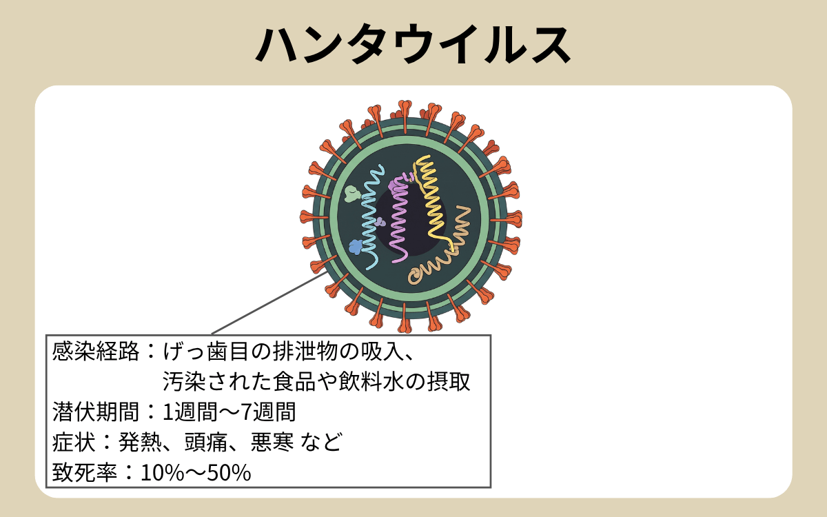ハンタウイルス