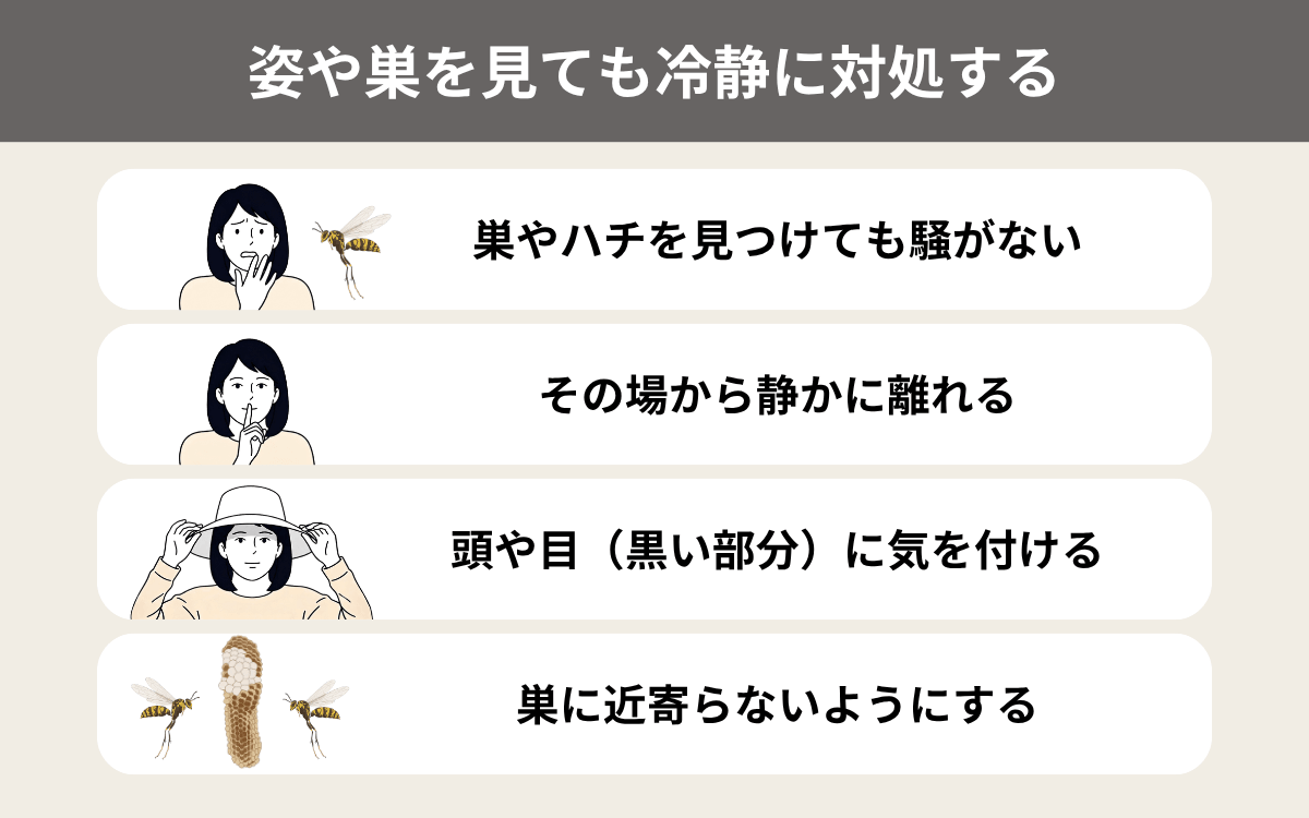 ヒメホソアシナガバチの姿や巣を見ても冷静に対処する