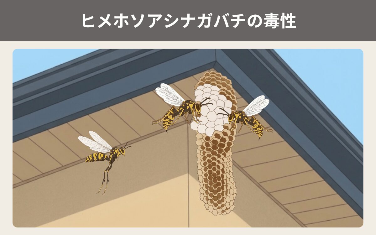 ヒメホソアシナガバチの毒性