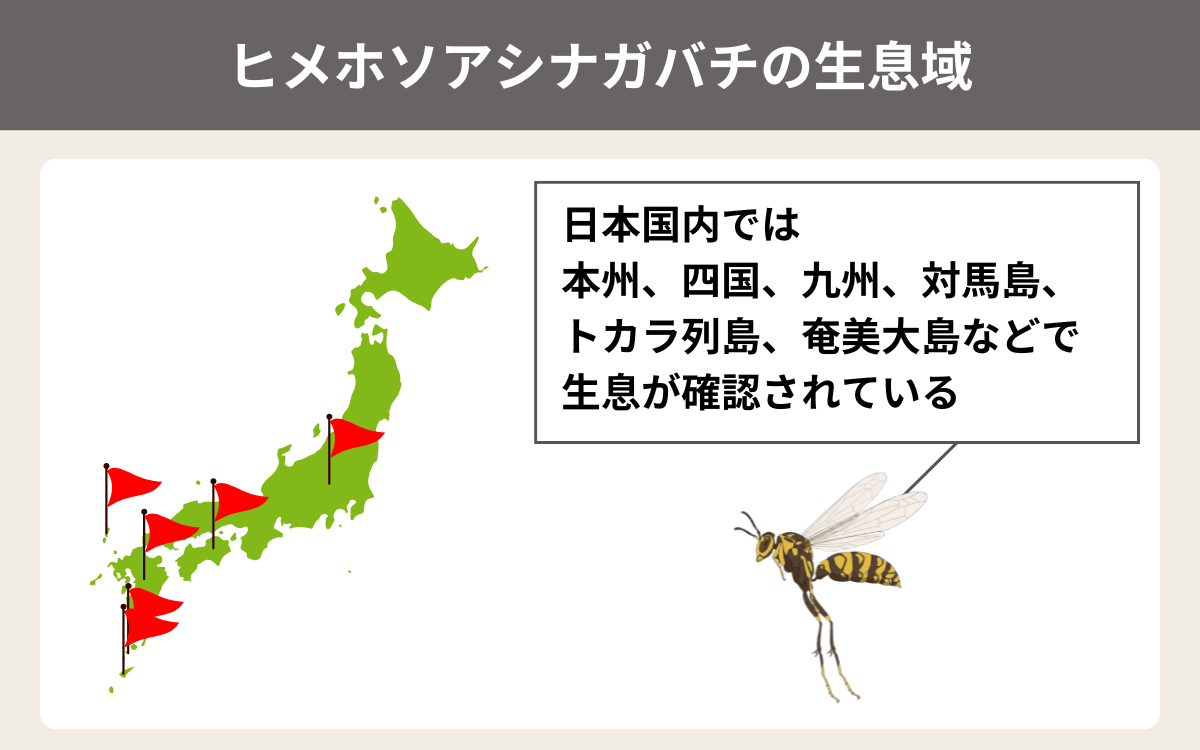 ヒメホソアシナガバチの生息域