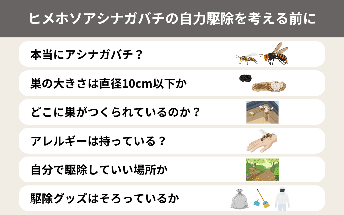 ヒメホソアシナガバチの自力駆除を考える前に