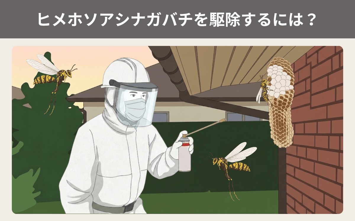 ヒメホソアシナガバチを駆除するには？