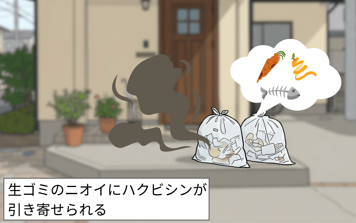 屋外に生ゴミを放置しない
