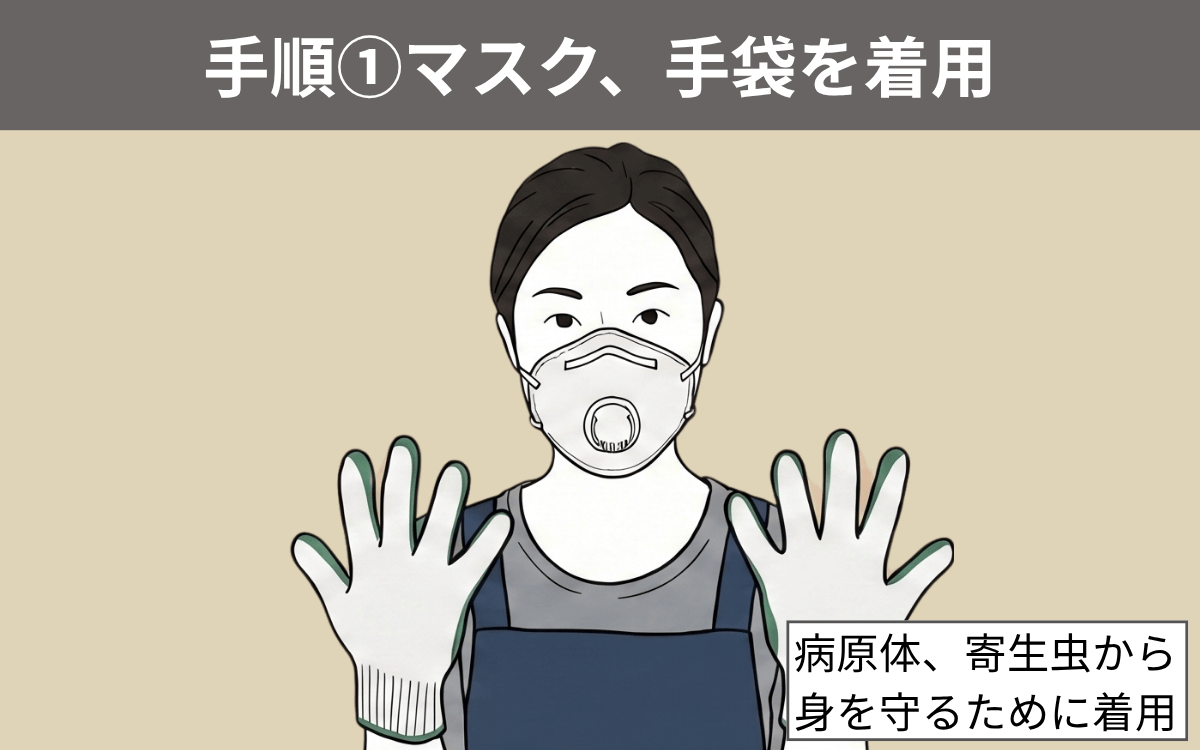 手順①マスク、手袋を着用