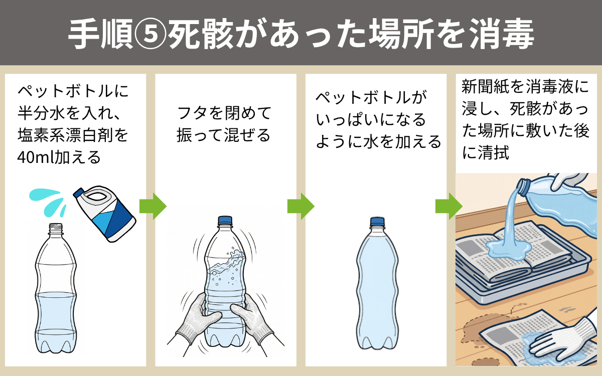 手順⑤死骸があった場所を消毒