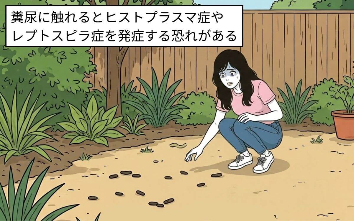 糞尿に触れた場合は注意が必要
