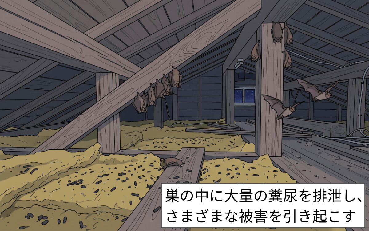 集団で棲みつく