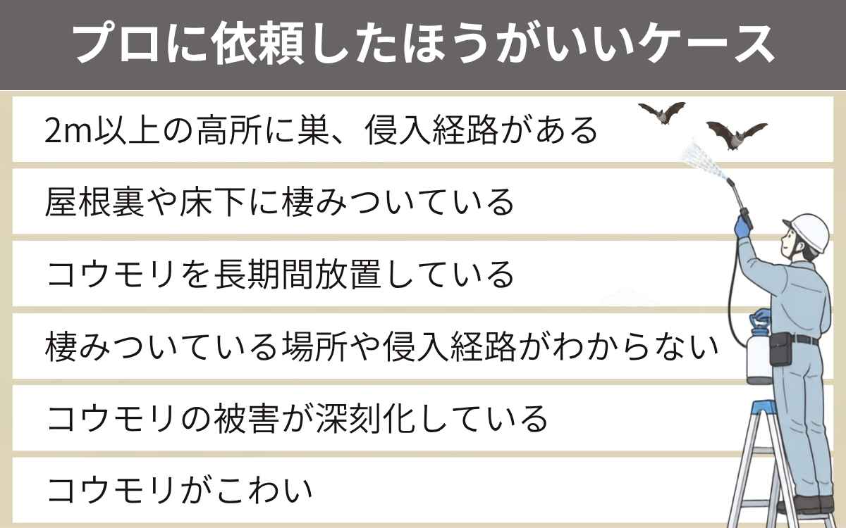 プロに依頼したほうがいいケース