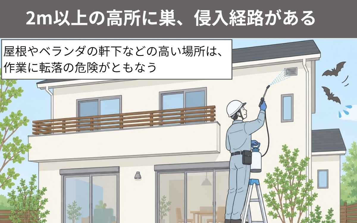2m以上の高所に巣、侵入経路がある