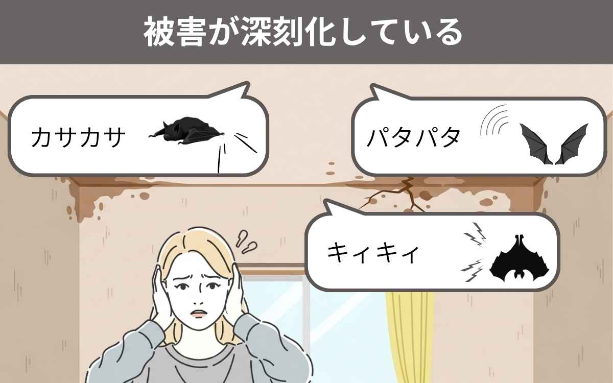 コウモリの被害が深刻化している