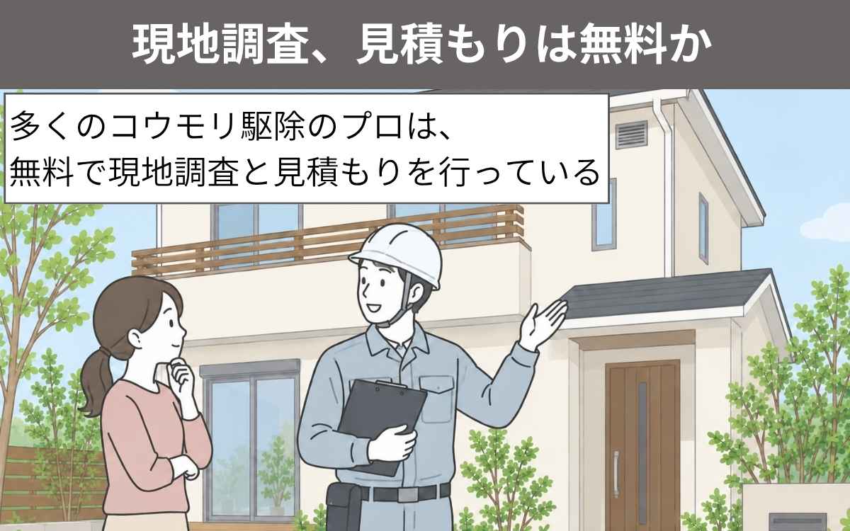 コウモリ駆除プロ業者の選び方①現地調査、見積もりは無料か