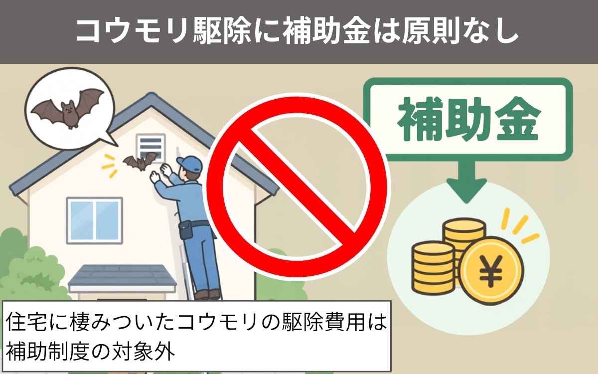 コウモリ駆除に補助金は原則なし