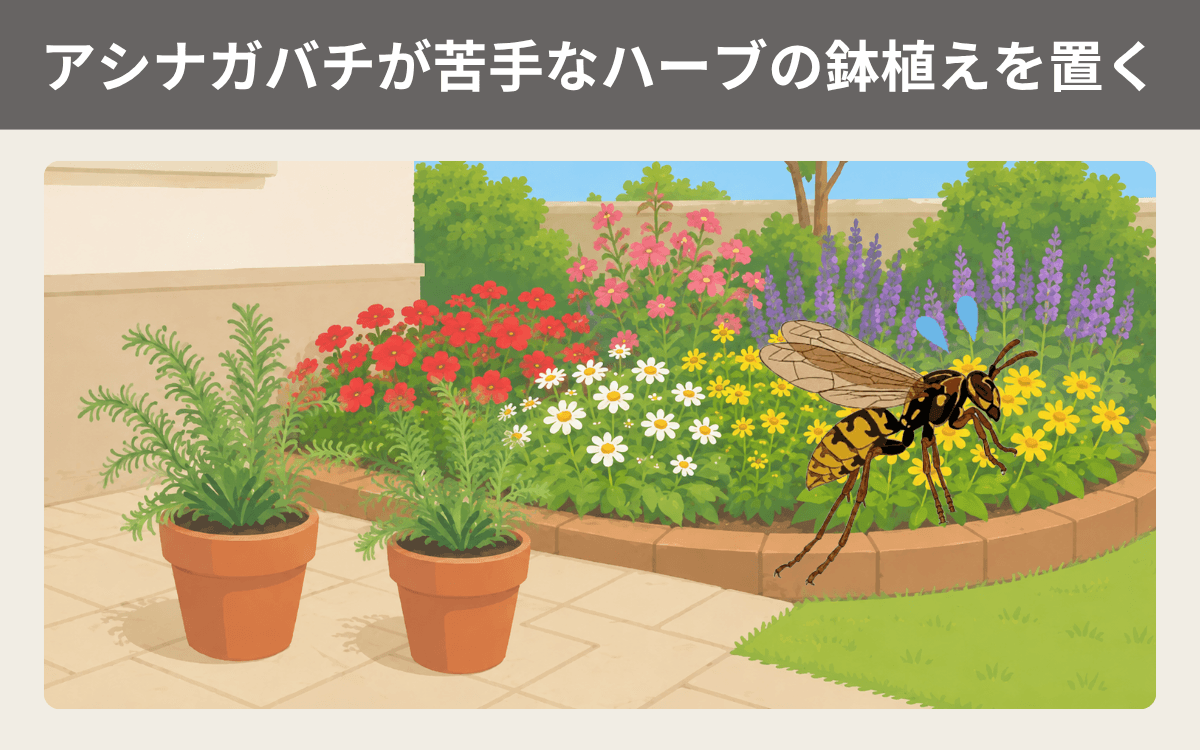 アシナガバチが苦手なハーブの鉢植えを置く