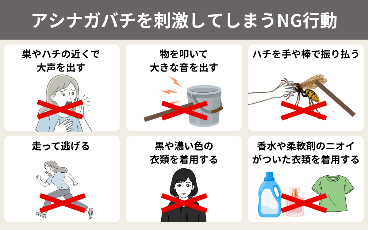 アシナガバチを刺激してしまうNG行動