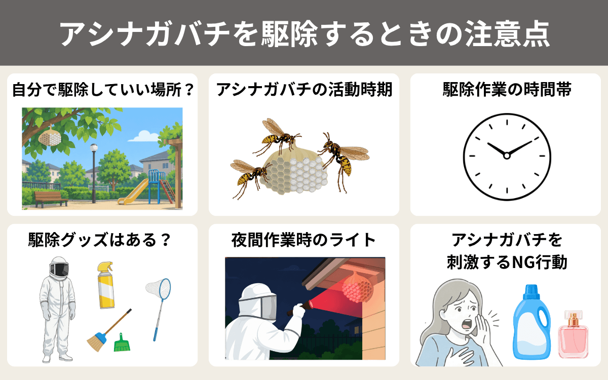 アシナガバチを駆除するときの注意点