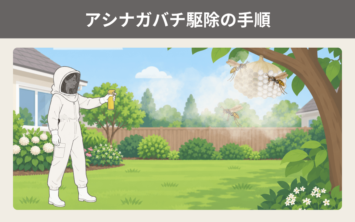 アシナガバチ駆除の手順