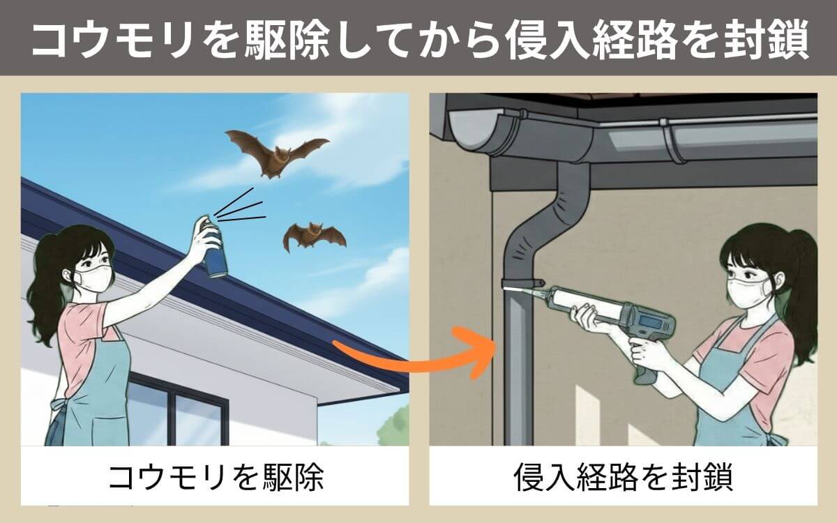 コウモリ駆除の後侵入経路を塞ぐ
