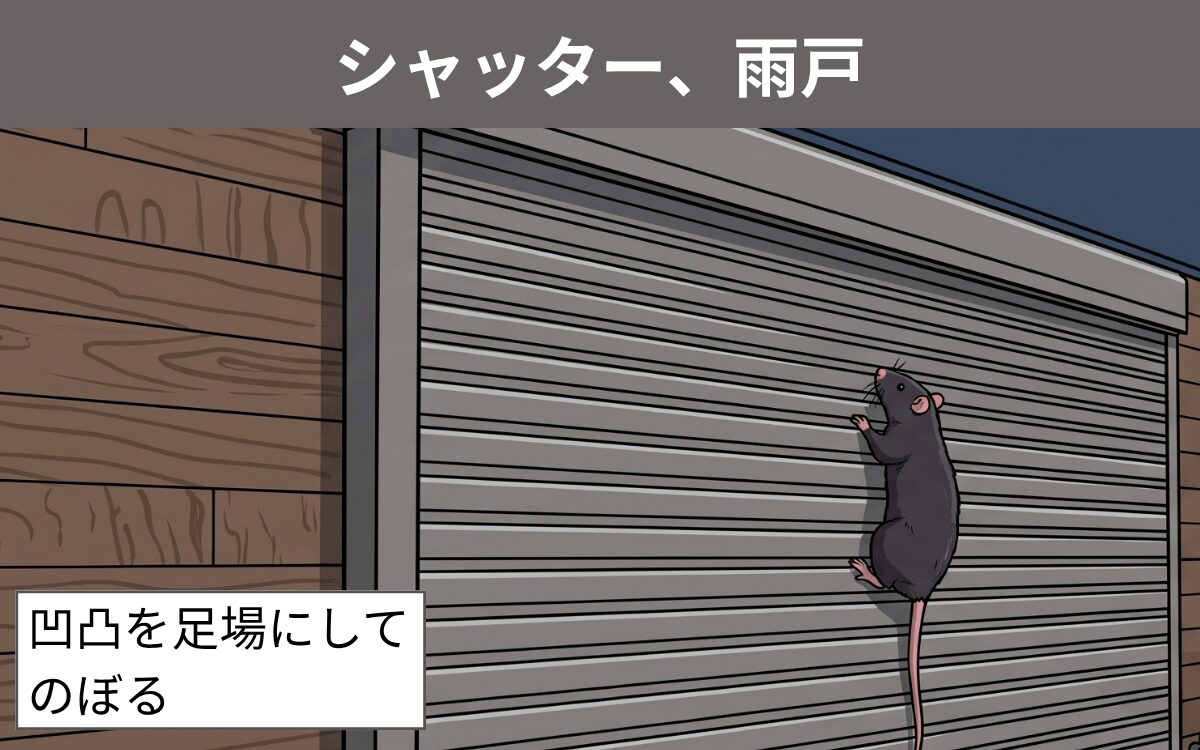 シャッター、雨戸