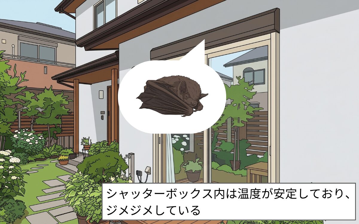 シャッターボックス内が快適