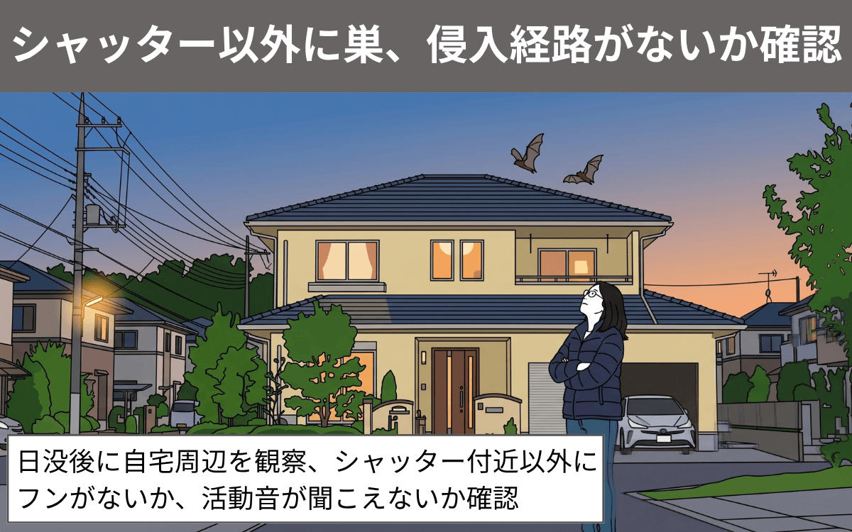 シャッター以外に巣、侵入経路がないか確認