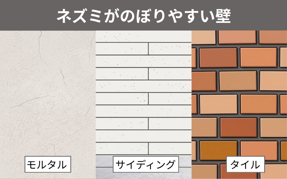 ネズミがのぼりやすい壁
