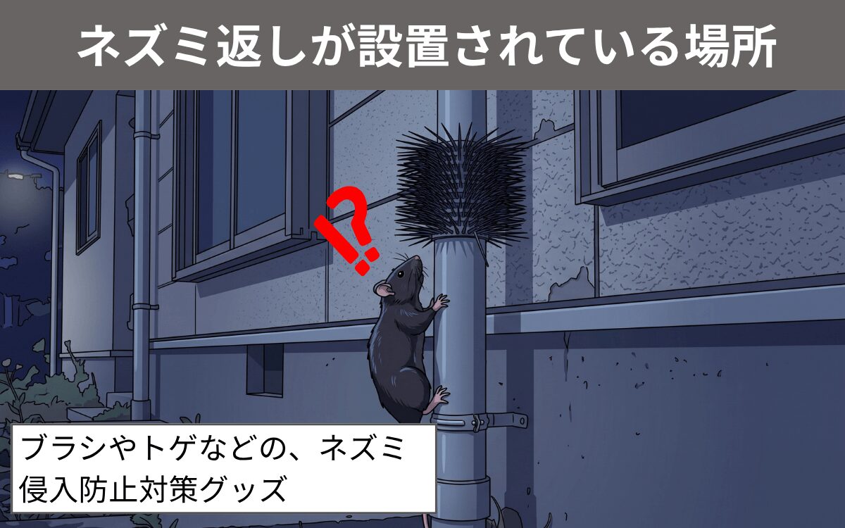 ネズミ返しが設置されている場所