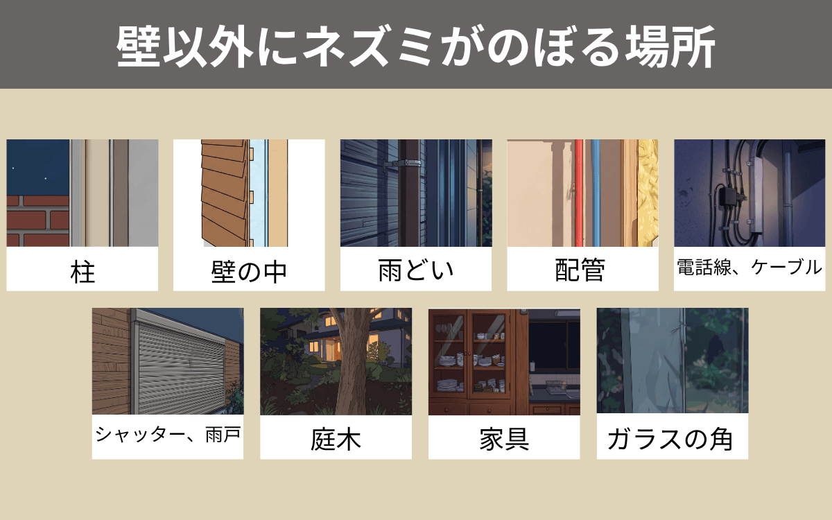 壁以外にネズミがのぼる場所