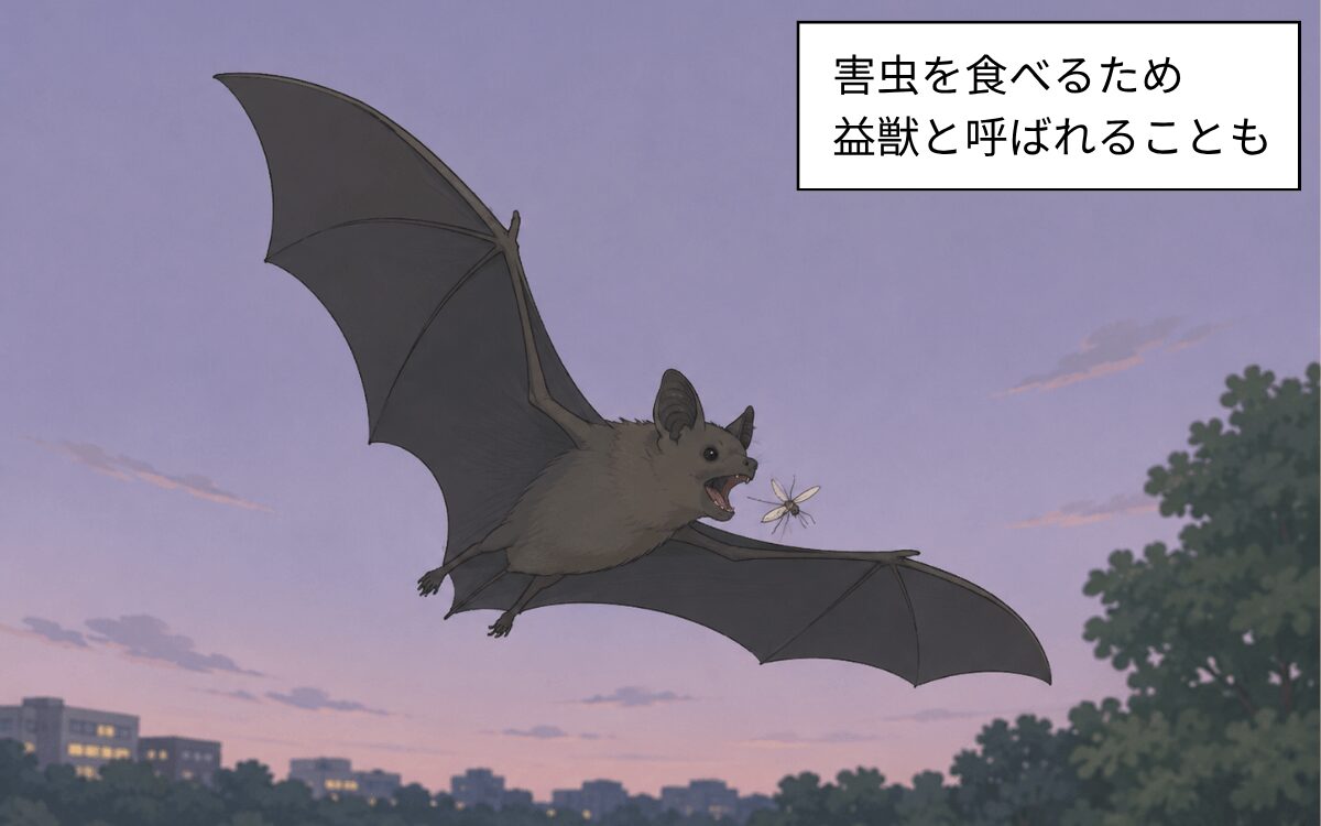 害虫を食べるコウモリは益獣とされることも