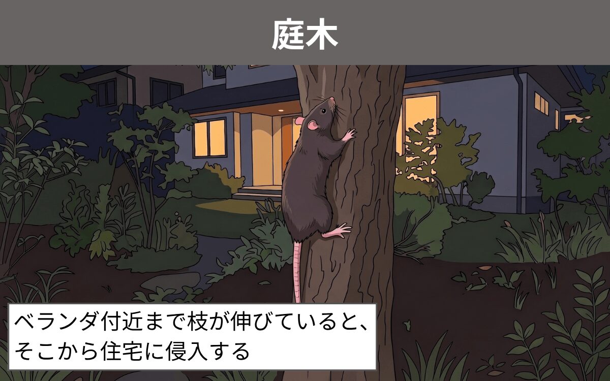 庭木