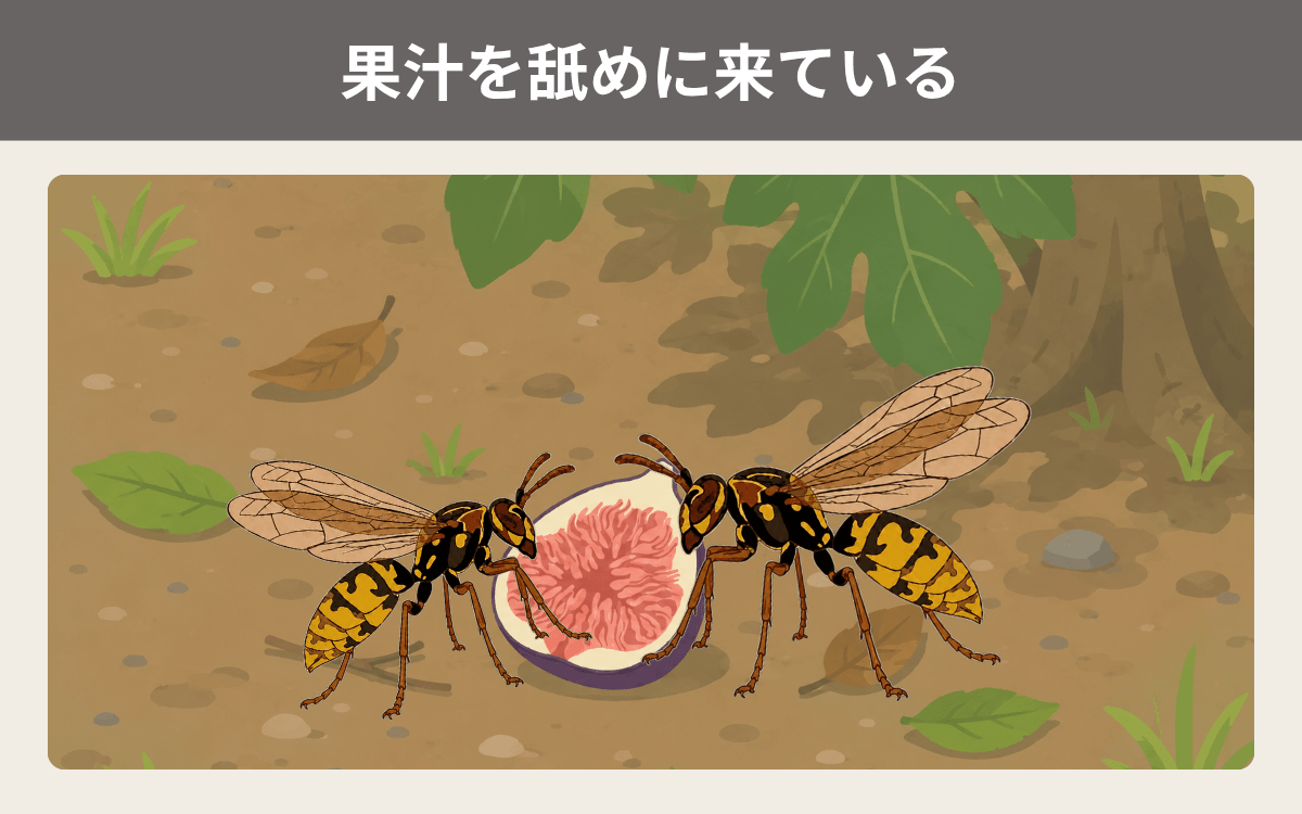 果汁
