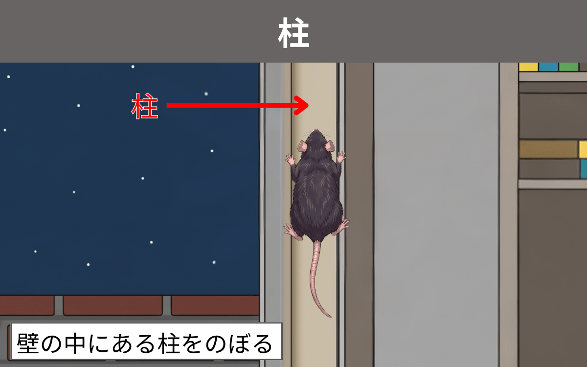 柱