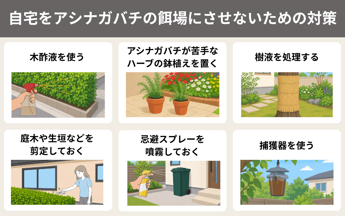 自宅をアシナガバチの餌場にさせないための対策