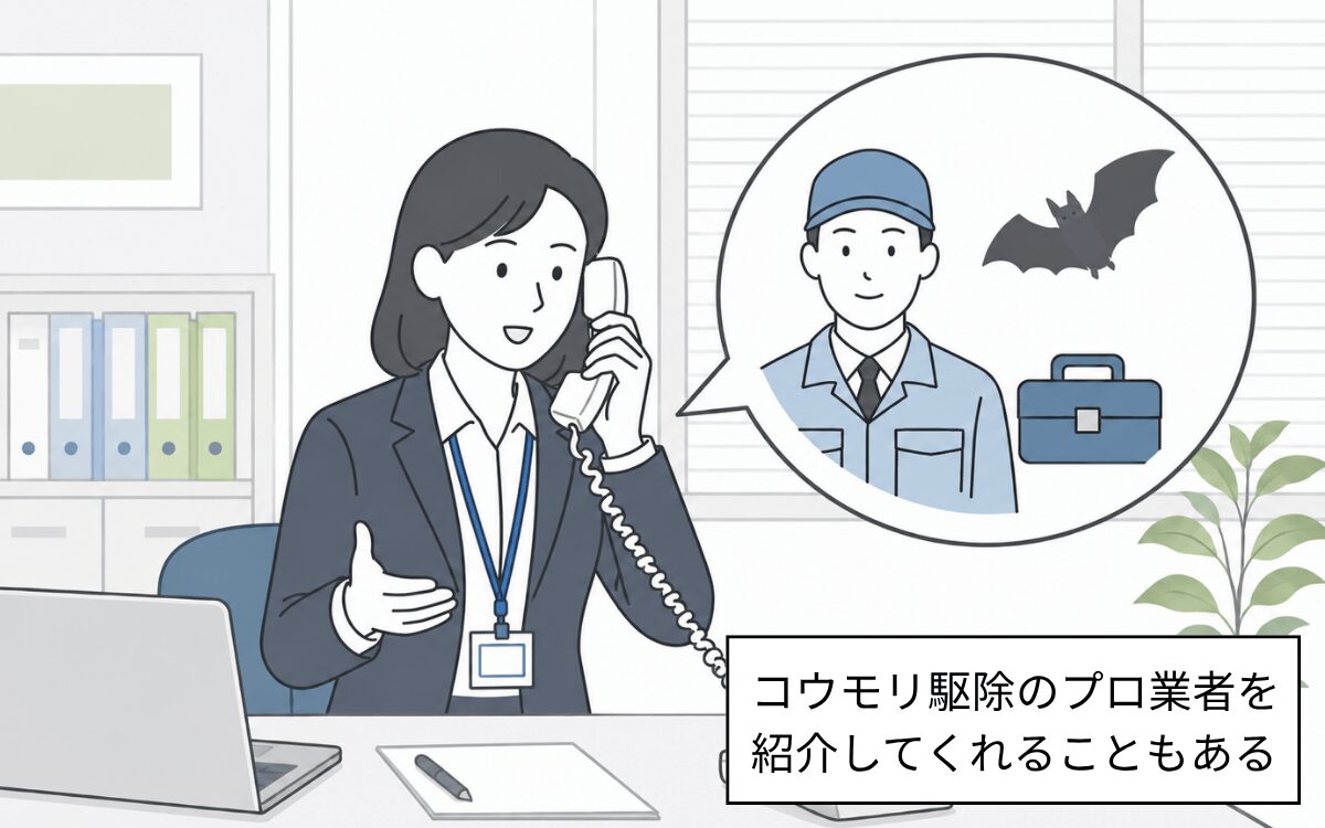 自治体によってはコウモリ駆除のプロを紹介してくれることも