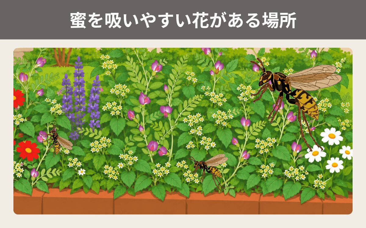 蜜を吸いやすい花がある場所