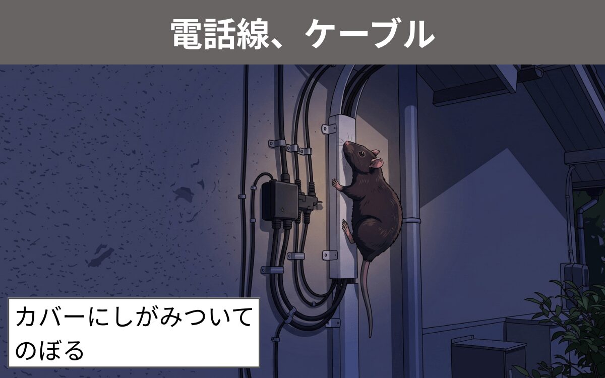 電話線、ケーブル