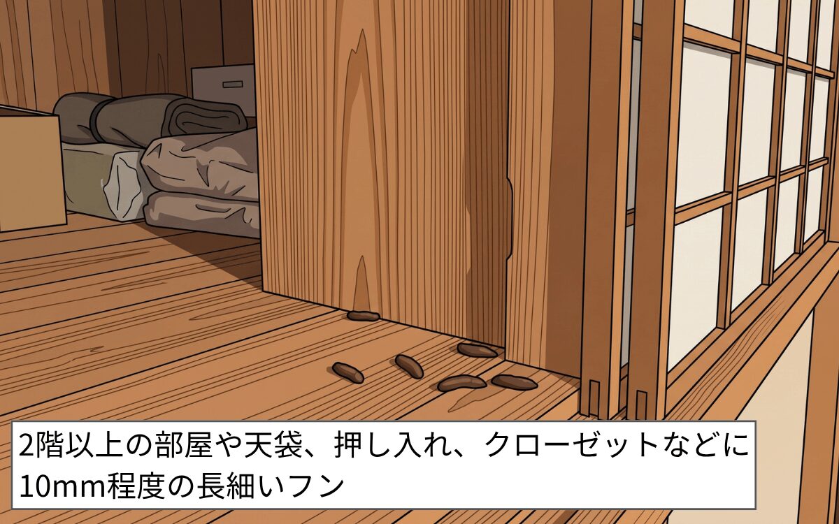 高所にフンがある