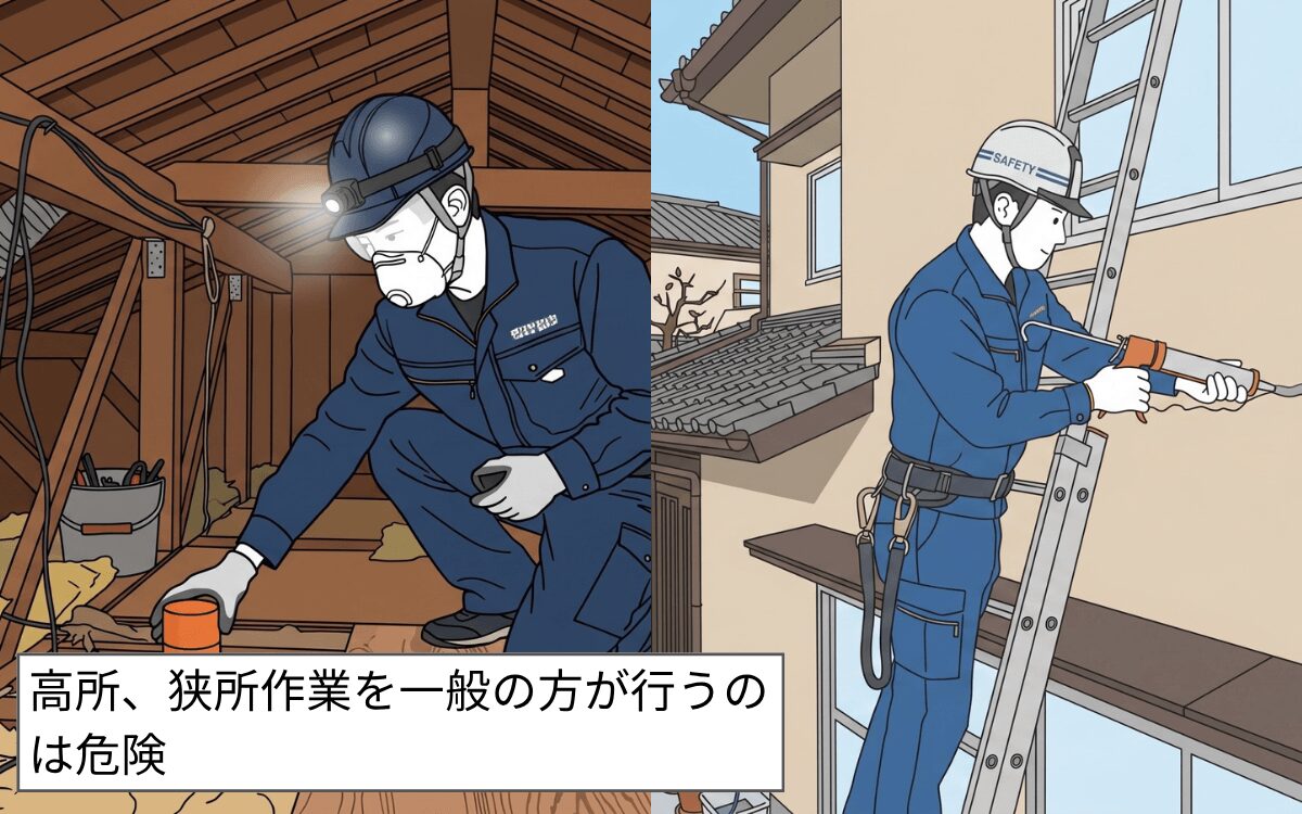 高所に棲みついているネズミの駆除はプロに依頼