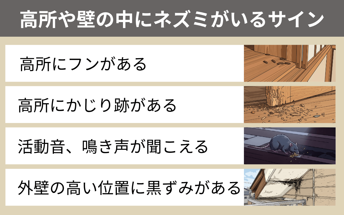 高所や壁の中にネズミがいるサイン