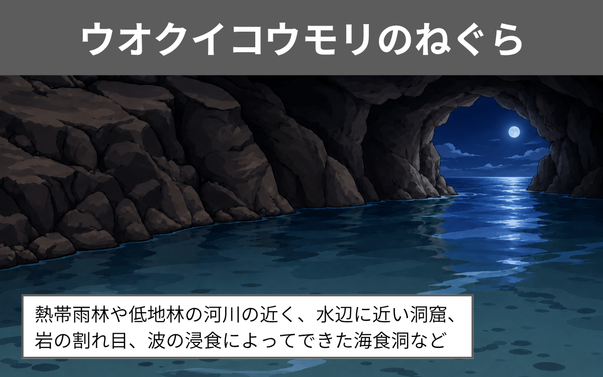 ウオクイコウモリのねぐら