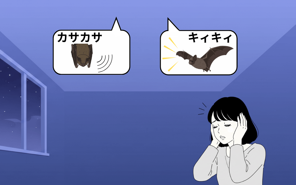 アブラコウモリによる騒音被害