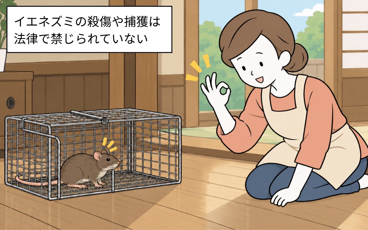 イエネズミの殺傷・捕獲は法律で禁止されていない