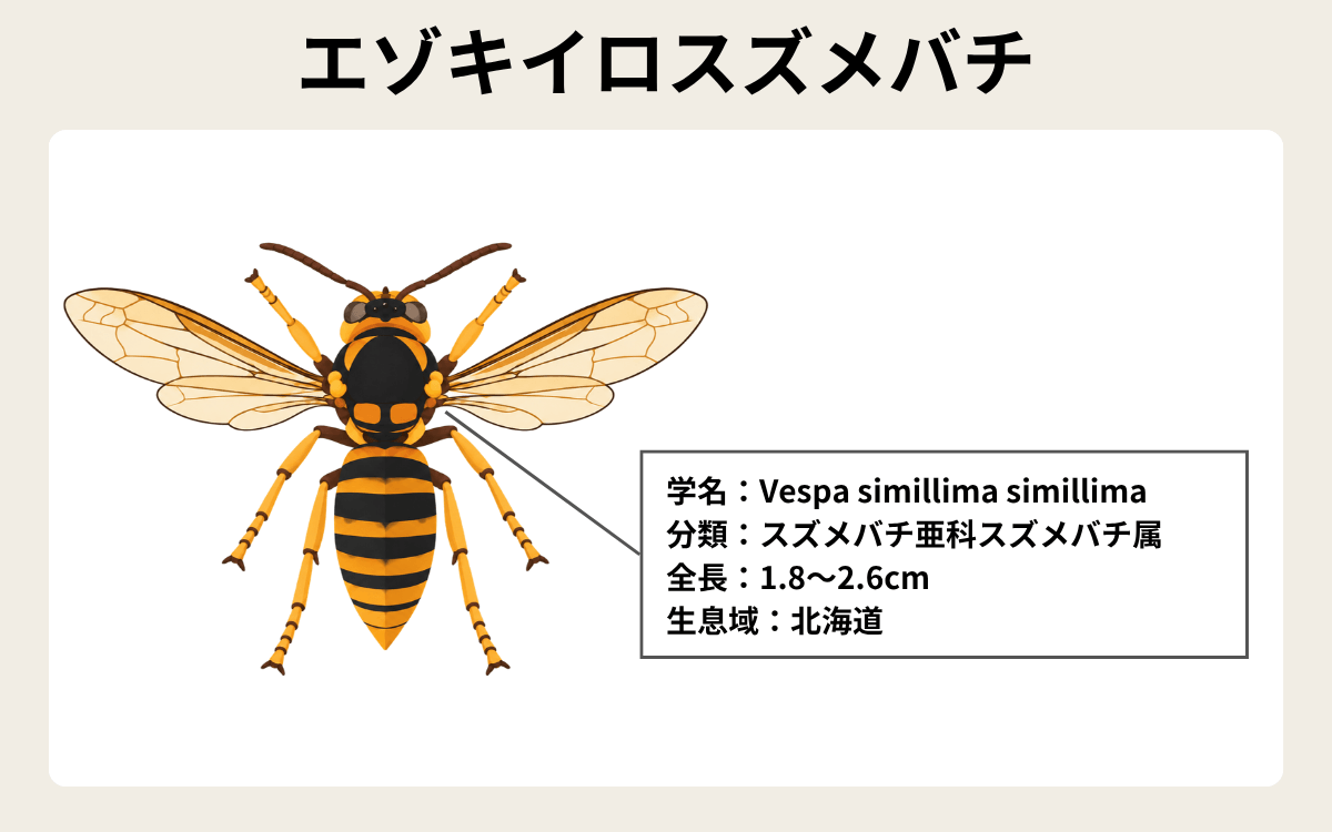 エゾキイロスズメバチ
