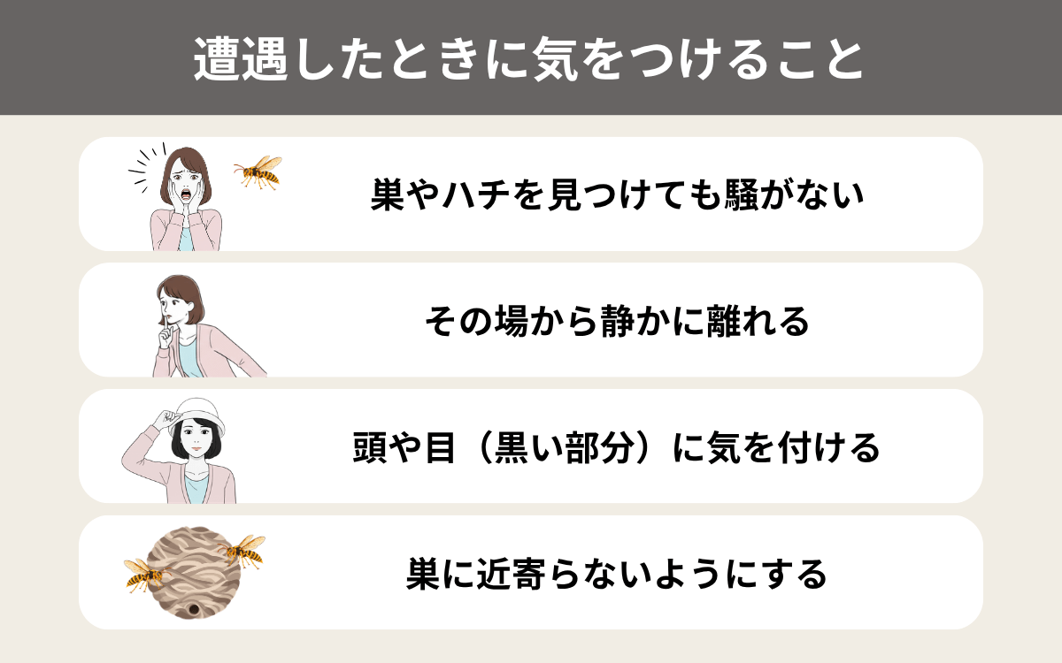 キイロスズメバチに遭遇したら