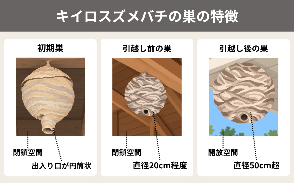 キイロスズメバチの巣の特徴