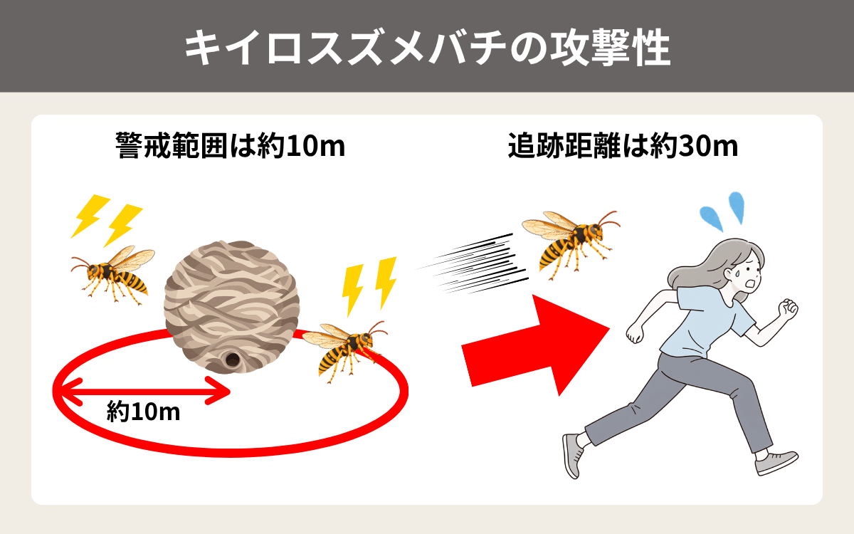 キイロスズメバチの攻撃性