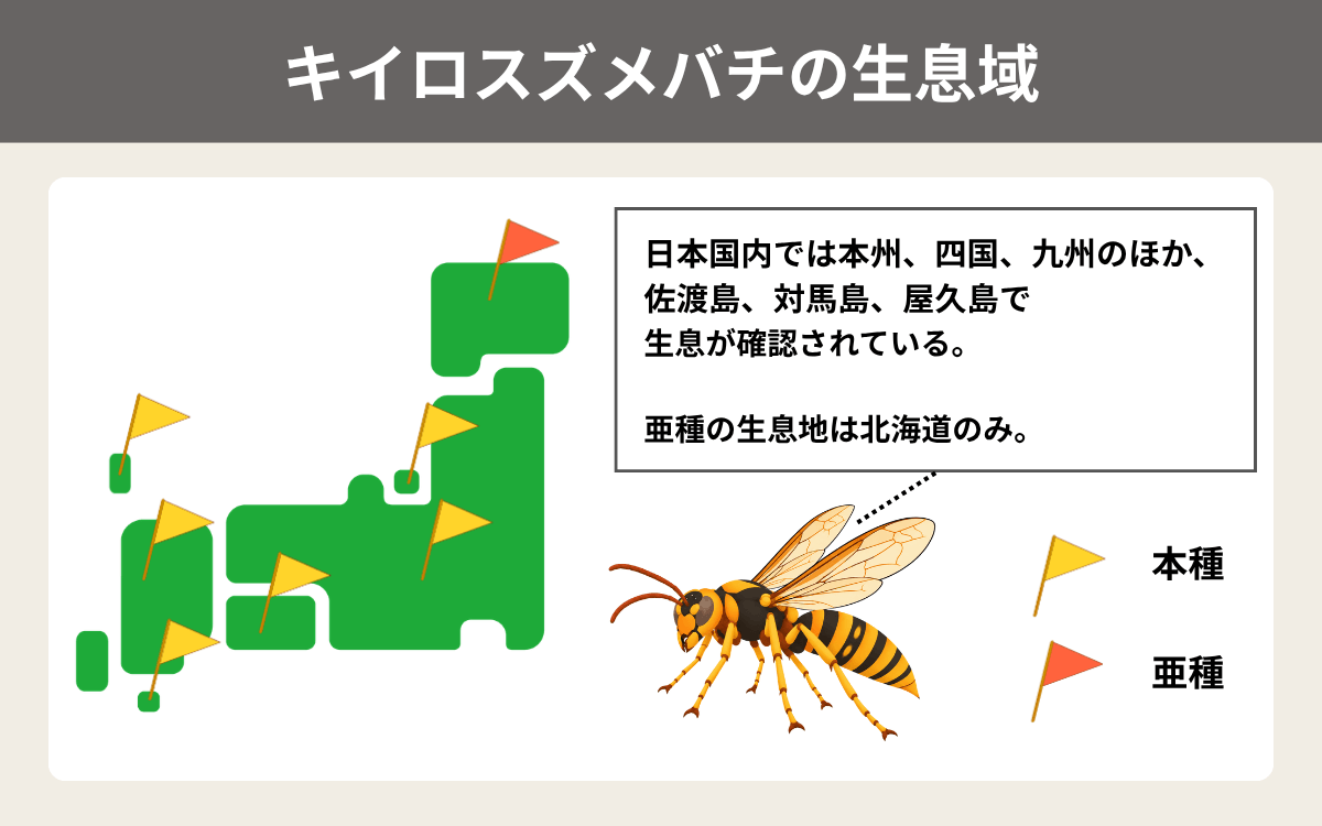 キイロスズメバチの生息域